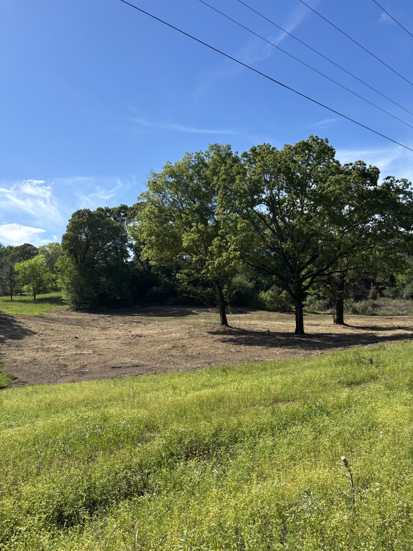 Pasture and fence line cleared of brush near Columbia, MS